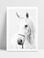 Quadro White Horse na internet