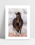 Quadro Cavalo nas Montanhas na internet