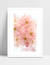 Quadro Cherrie Pink na internet