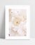 Quadro Flores Brancas - Milky na internet