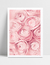 Quadro Suavidade - Peônias Rosas na internet