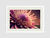 Quadro Pink Flower na internet