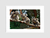 Quadro Koalas na internet
