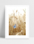 Quadro Campo de Trigo na internet
