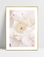 Quadro Flores Brancas - Milky - Ella Quadros