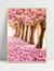 Composição Encanto das Rosas na internet
