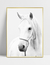 Quadro White Horse - Ella Quadros