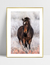 Quadro Cavalo nas Montanhas - Ella Quadros