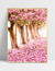Composição Encanto das Rosas - comprar online