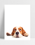 Quadro Pastor Beagle