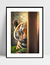 Imagem do Quadro Tigre Indiscreto