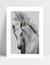 Quadro White Horse II