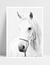 Quadro White Horse