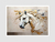 Quadro Cavalo Branco - Artístico