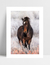 Quadro Cavalo nas Montanhas