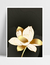 Quadro Gold Chic II