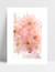 Quadro Cherrie Pink
