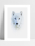 Quadro Lobo Branco