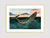 Quadro Baleia - Green - comprar online