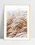 Quadro Capim Dourado - comprar online