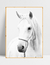 Quadro White Horse - comprar online