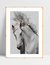 Quadro White Horse II - comprar online