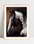 Quadro Horse - Clousep - comprar online