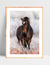Quadro Cavalo nas Montanhas - comprar online