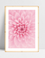 Quadro Sonho de Flor - Cris Rosa - comprar online