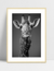 Quadro Girafa - Cachecol - comprar online