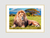 Quadro Poderoso - Leão - comprar online