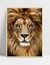 Quadro Leão - Frente - comprar online