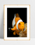 Quadro Nemo - comprar online