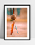 Imagem do Quadro Adorno Amazon