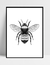 Imagem do Quadro Abelha