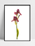 Imagem do Quadro Orquídea Rosé