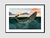 Imagem do Quadro Baleia - Green