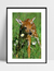 Imagem do Quadro Bambi