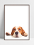 Quadro Pastor Beagle na internet