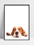 Imagem do Quadro Pastor Beagle