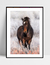 Imagem do Quadro Cavalo nas Montanhas
