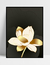 Imagem do Quadro Gold Chic II