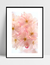 Imagem do Quadro Cherrie Pink