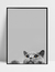 Imagem do Quadro Gatinho Cherrie