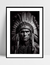 Imagem do Quadro Índio Americano - face