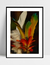 Imagem do Quadro Adorno Índio Amazônia