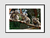 Imagem do Quadro Koalas