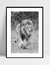 Imagem do Quadro Lion Walking