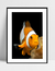 Imagem do Quadro Nemo