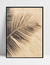 Imagem do Quadro Sombra - Folha de Coqueiro